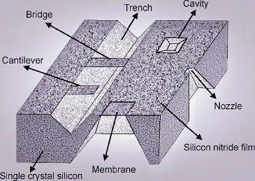 978-0-387-48998-8_2_Part_Fig71_HTML